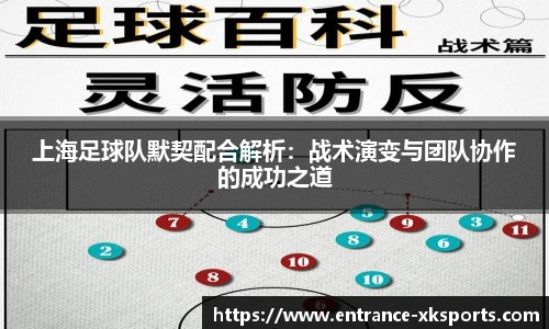 上海足球队默契配合解析：战术演变与团队协作的成功之道